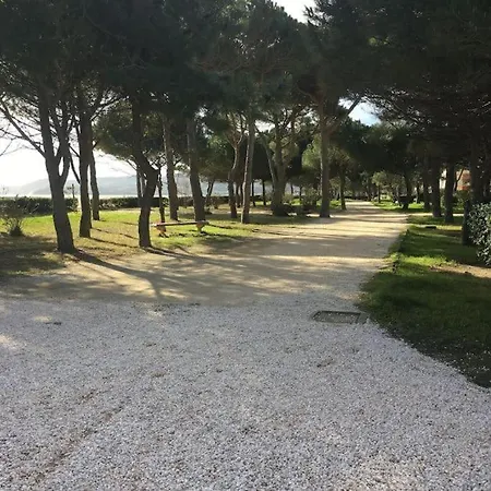 Eden Catalan Climatise 5 Personnes Meuble Tourisme 